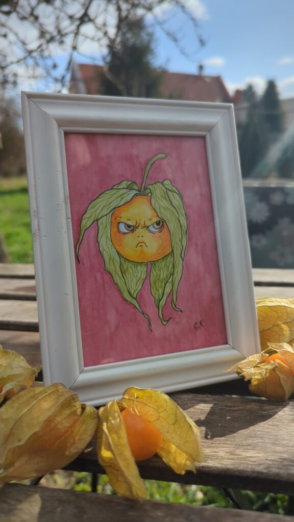 Gerahmte Illustration einer wütenden Physalis auf rosa Hintergrund mit echten Lampionblumen im natürlichen Sonnenlicht