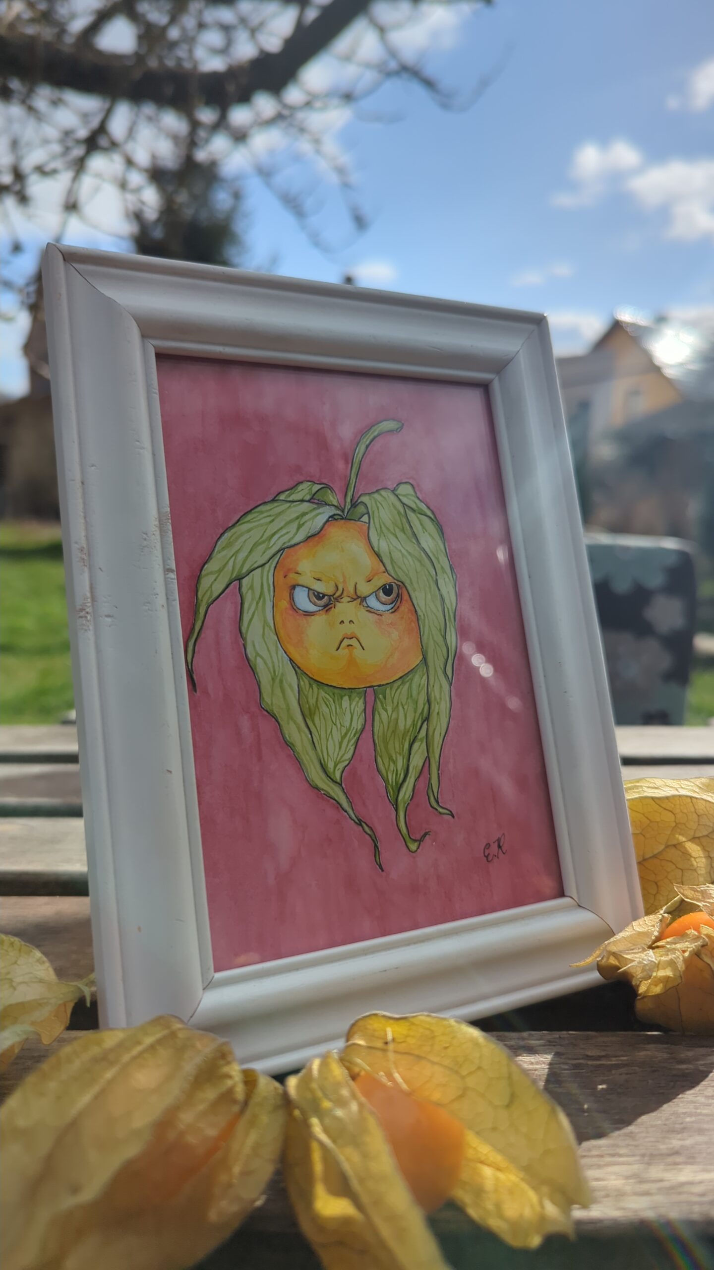 Gerahmte Illustration einer wütenden Physalis auf rosa Hintergrund mit echten Lampionblumen im natürlichen Sonnenlicht