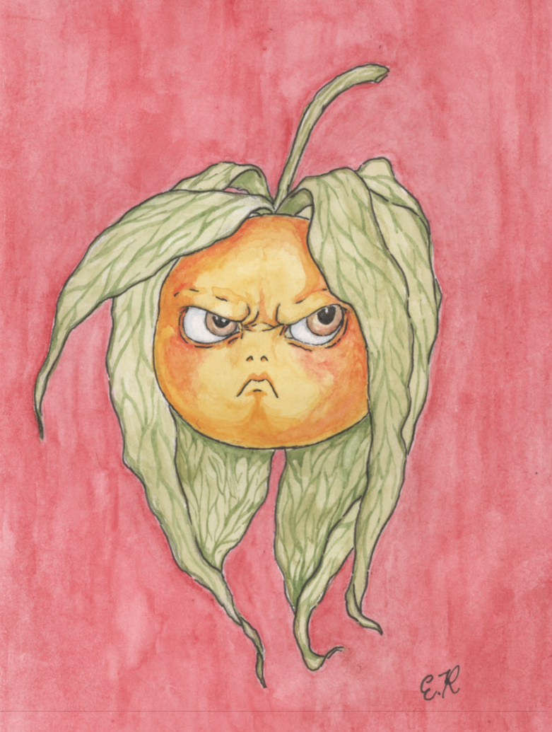 Illustrierte wütende Physalis mit langen Blättern auf rosafarbenem Hintergrund im verspielten Aquarellstil